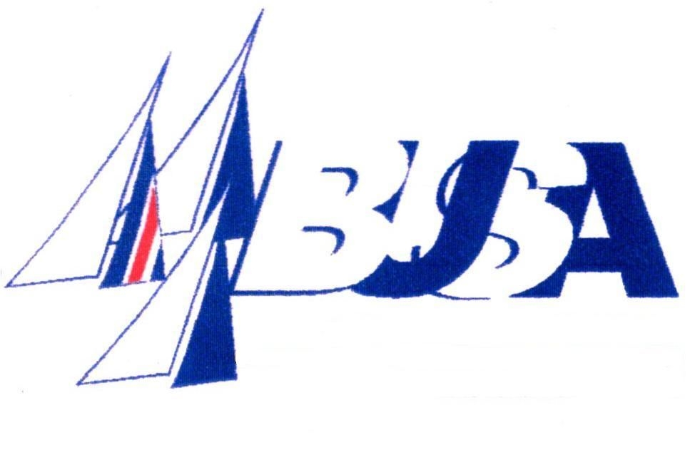 Busa :: Hello and welcome to the 2008 -2009 BUSA Website
